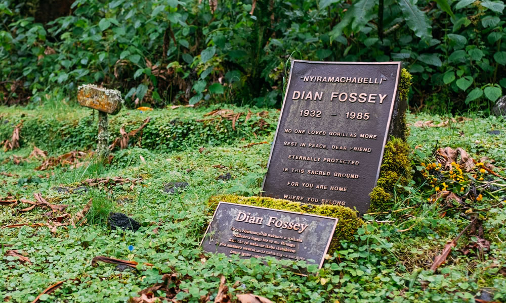 4 Days Gorilla Trekking and Dian Fossey Tomb Hike