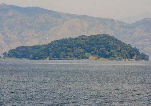 8 Days Rwanda Safari and Lake Kivu Tour