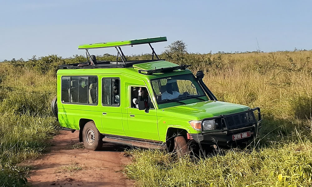 Safari Car Hire