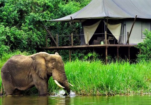 Magashi Camp, Rwanda