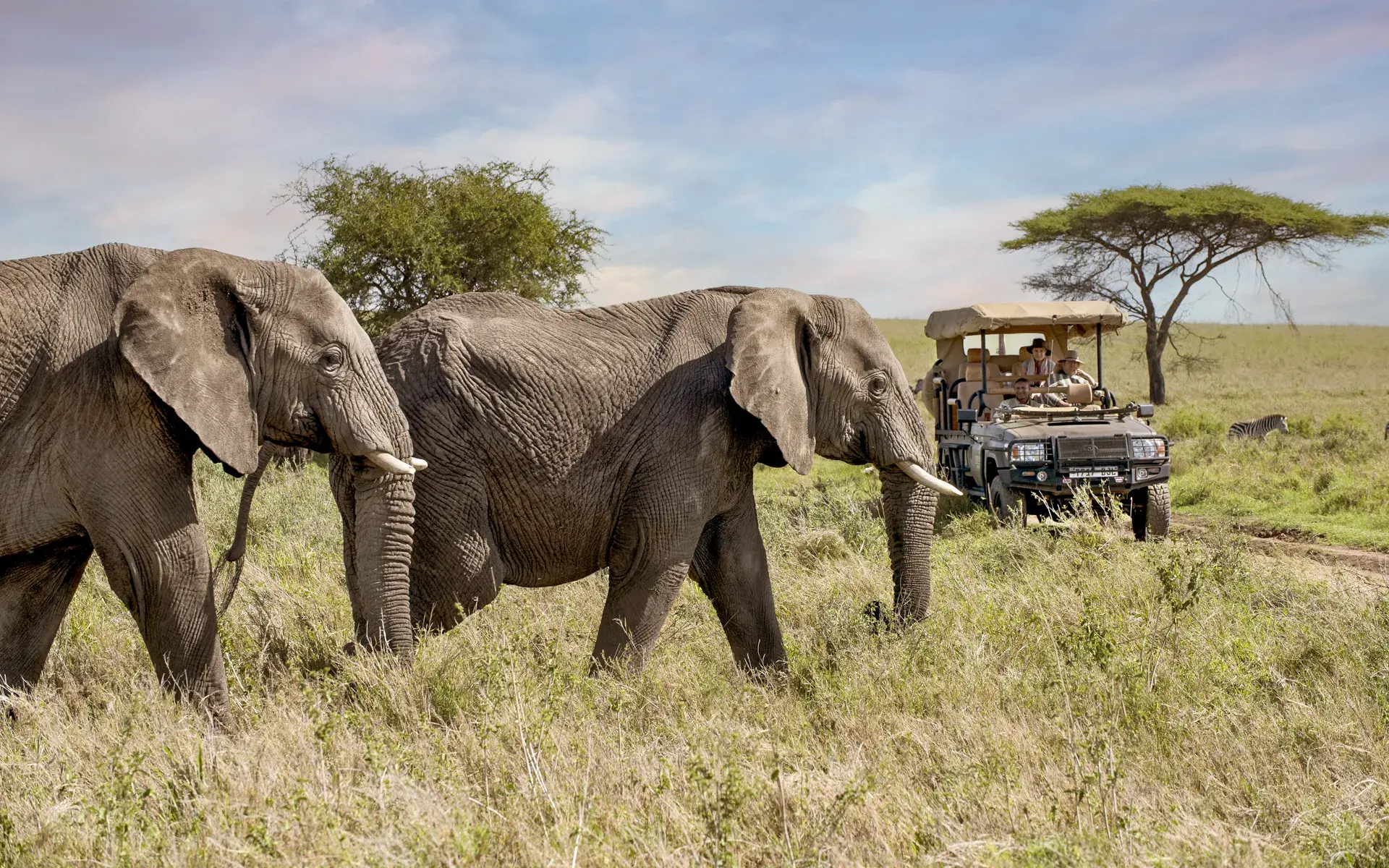 15 Days of Luxury Tanzania Uganda and Kenya Flying Safari