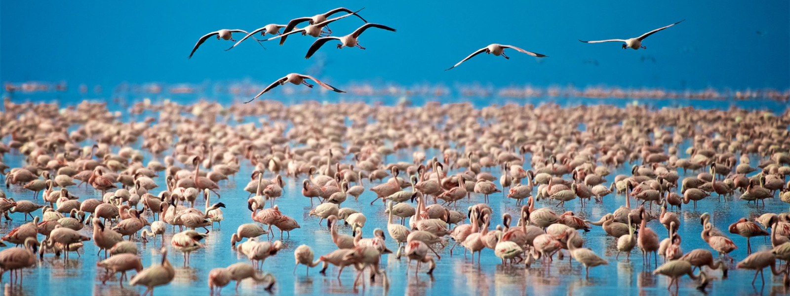 15 Days Tanzania Wildlife & Cultural Safari