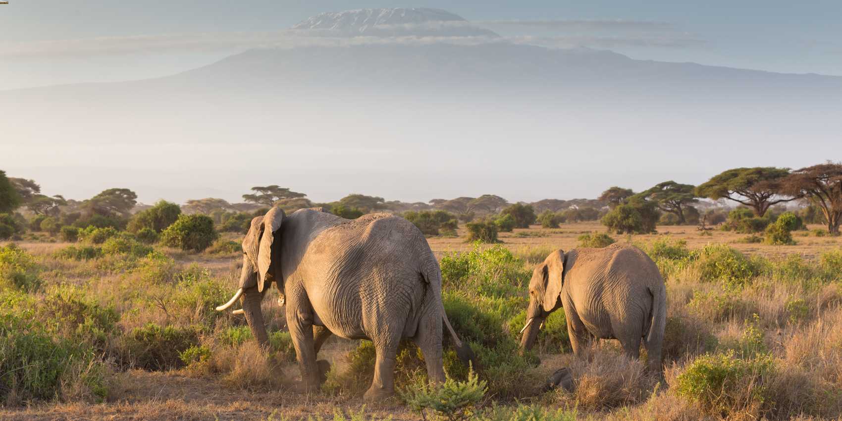 15 Days Tanzania Wildlife & Cultural Safari
