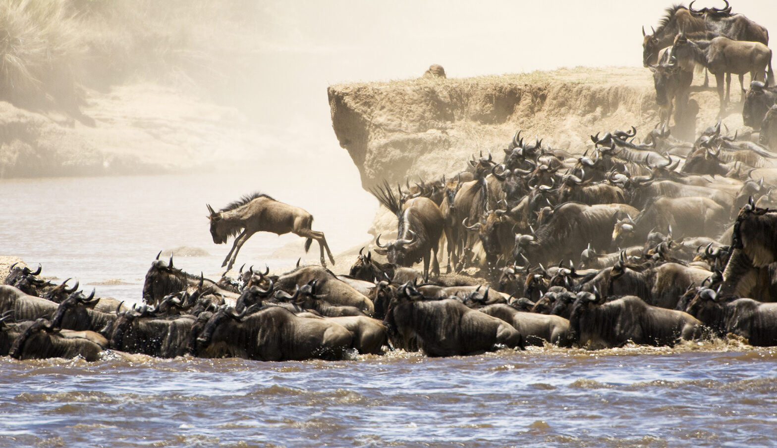 Tanzania Safari In September