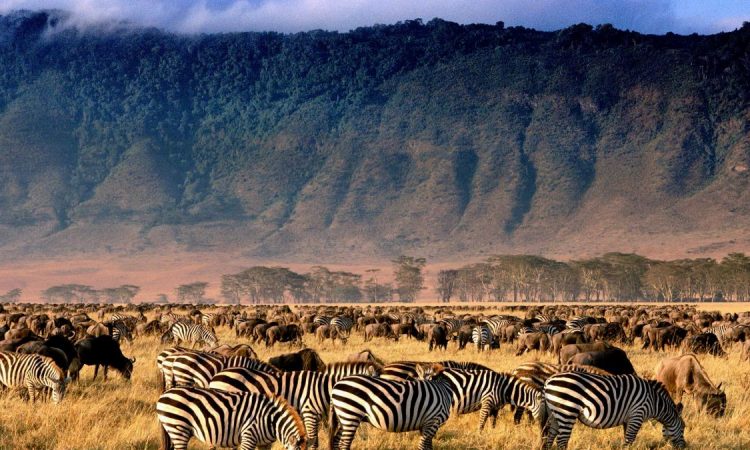 10 Days Tanzania & Zanzibar Safari