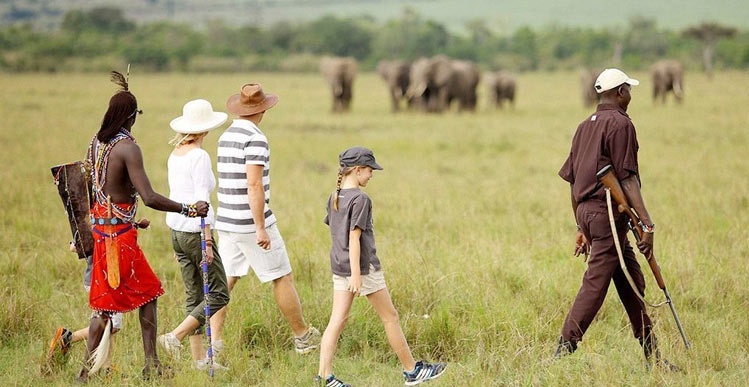 African Safaris & Tours