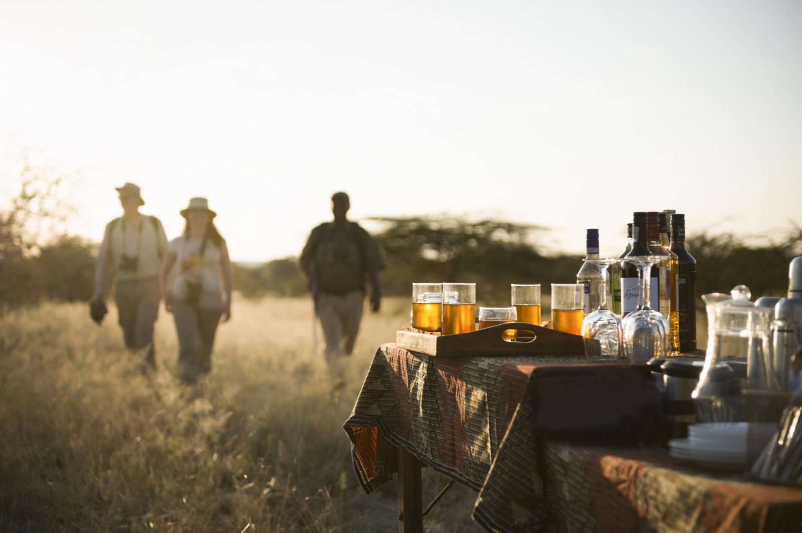 Is a June safari better than a December safari?