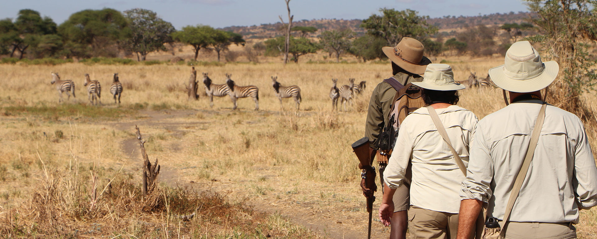 Ultimate Guide to Activities to do in Tarangire National Park 2026