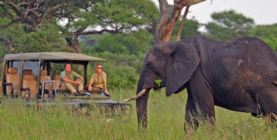 Ultimate Guide to Activities to do in Tarangire National Park 2026