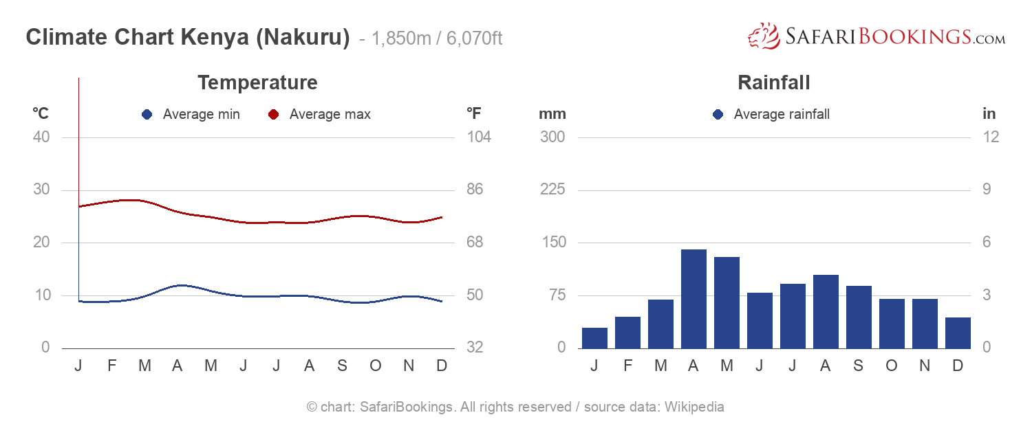 Best Time to Go for a Kenya Safari