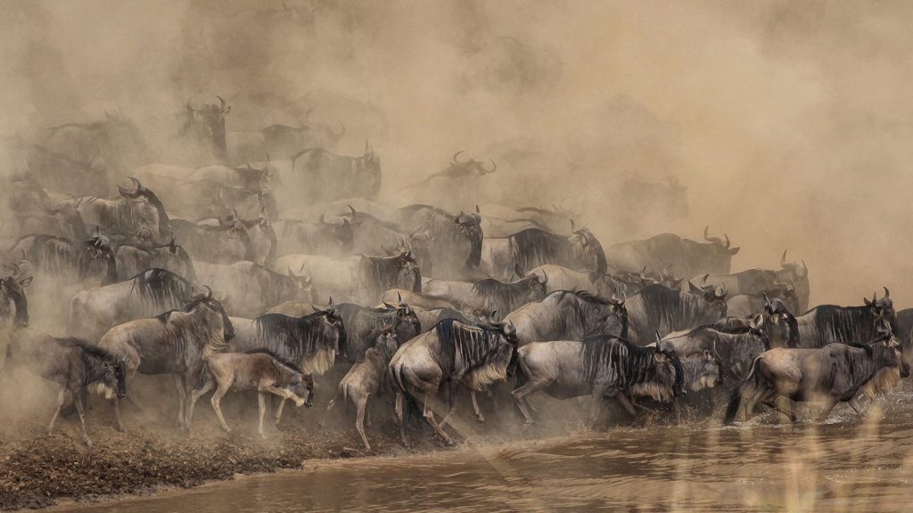 Getting Around Maasai Mara