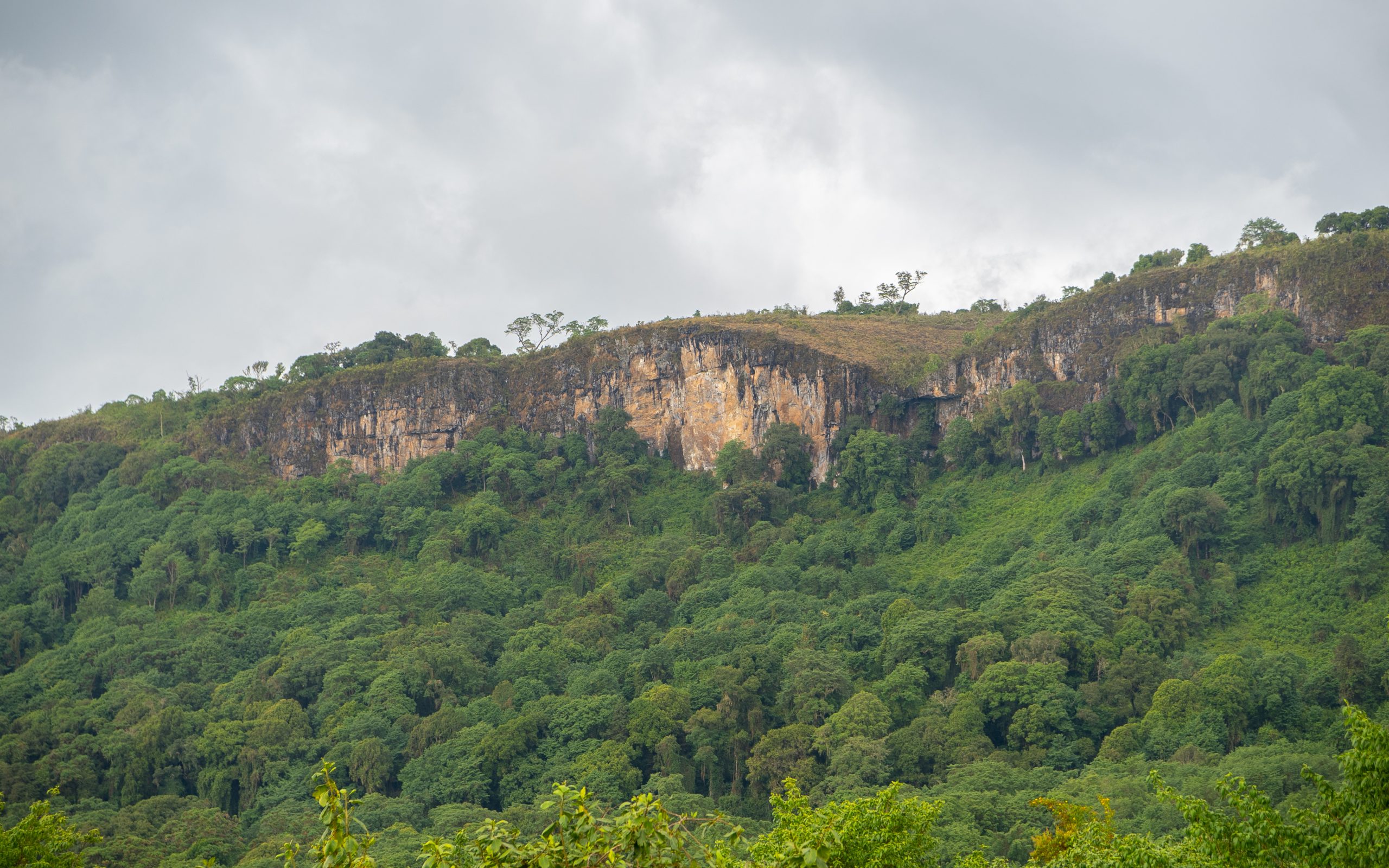 Scenic view of Mount Elgon with lush vegetation and cliff formations near Sipi Falls, eastern Uganda