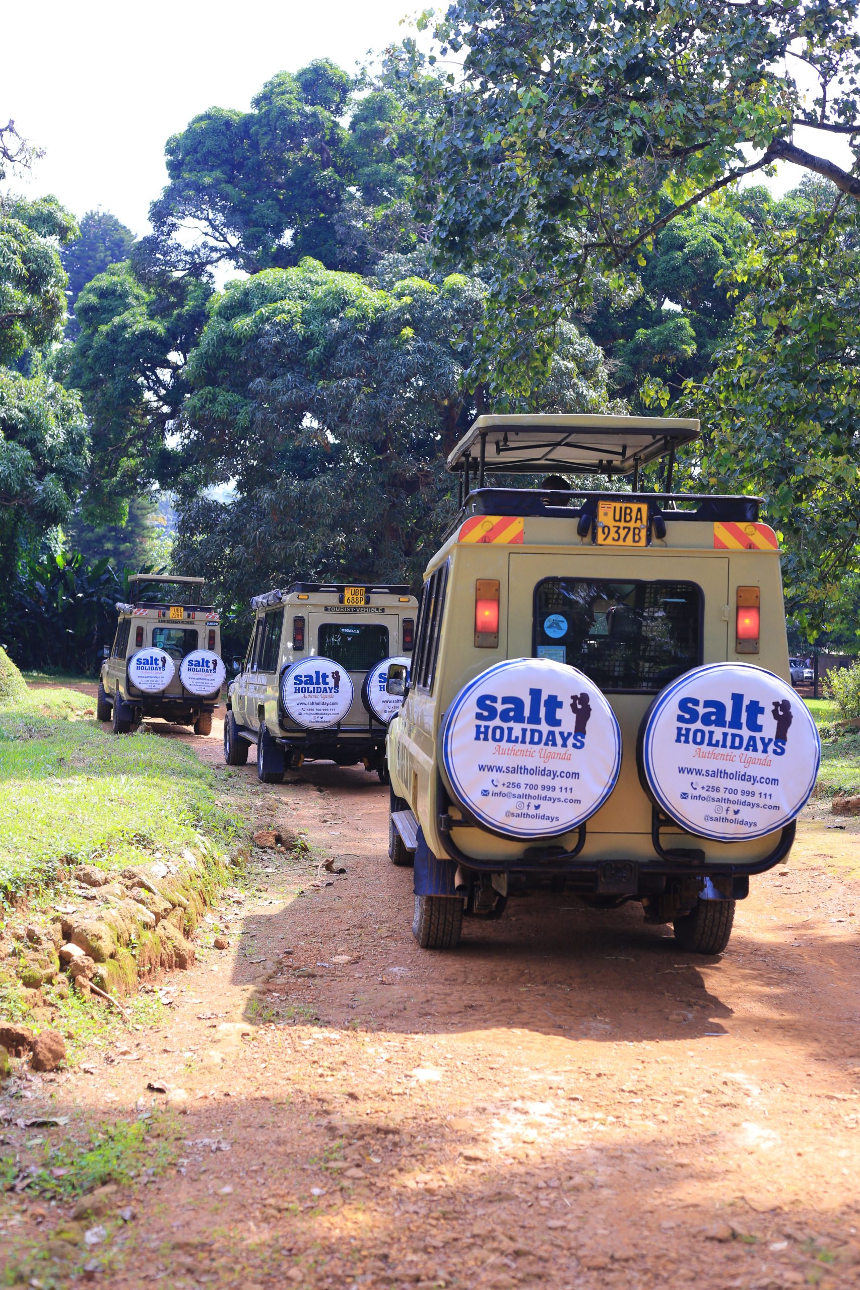 Safari vehicles on a guided tour in Uganda showing safe travel experience in 2026
