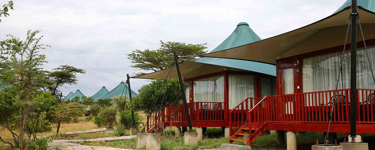 8 Days Ultimate Primates & Great migration safari