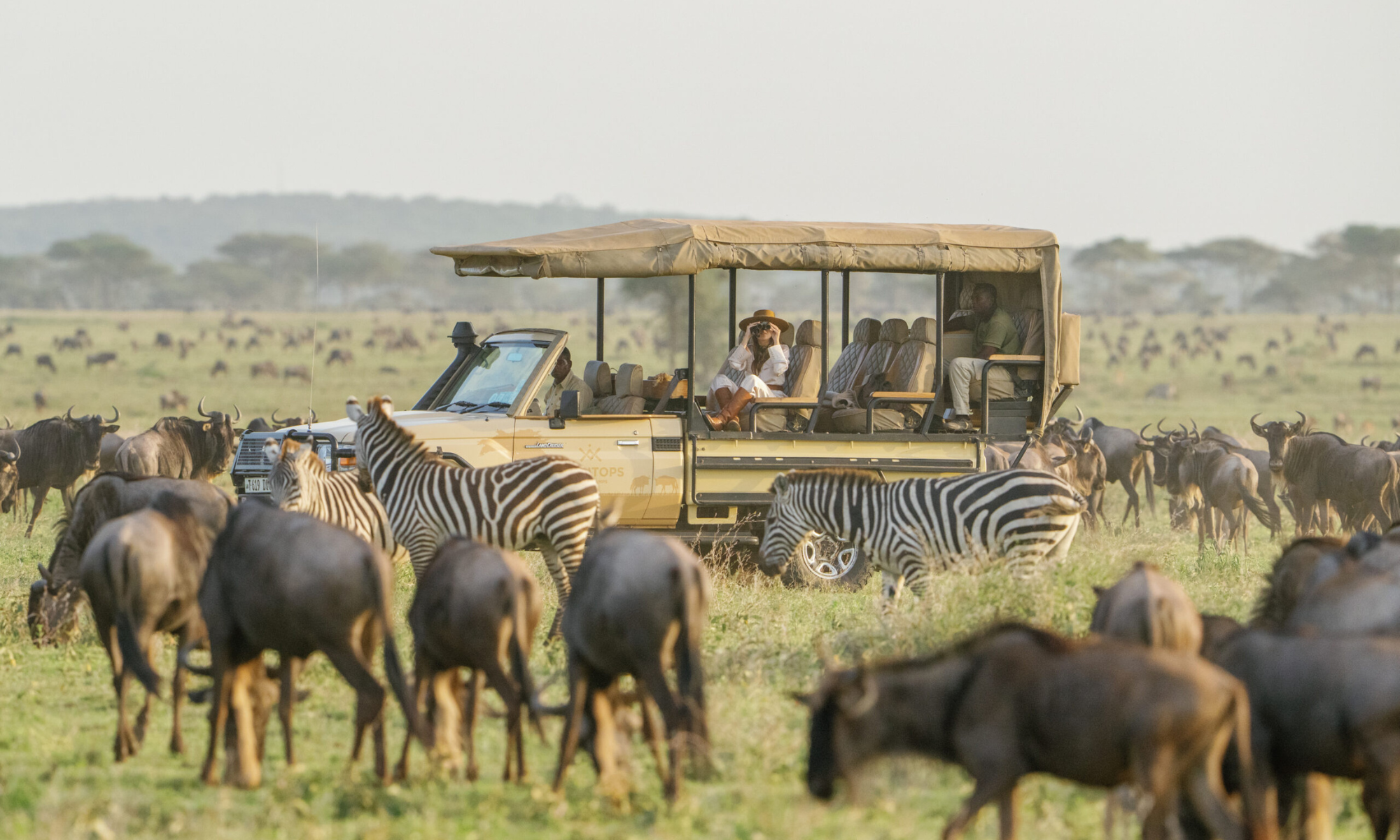 5 Days Highlights of Tanzania Wildlife Safari