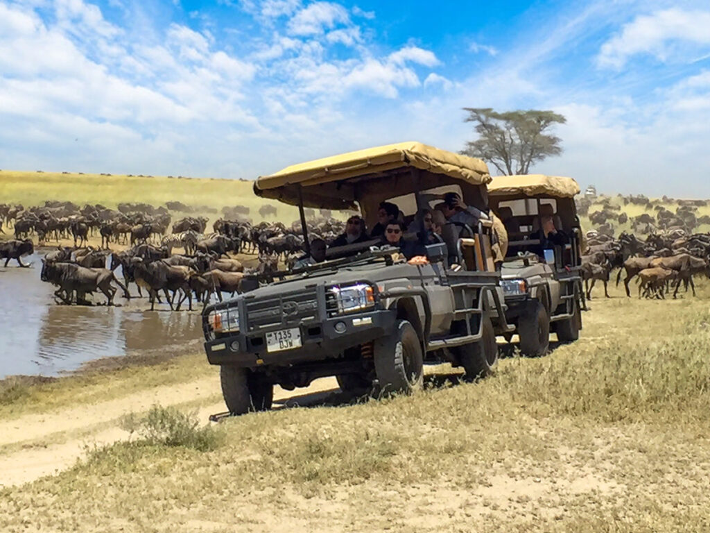 12 Days Mt. Kilimanjaro Trek & Serengeti Safari