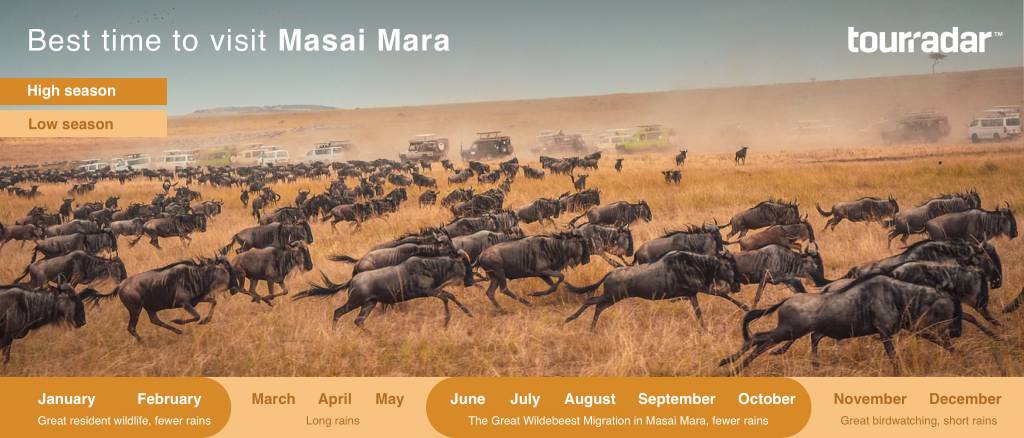 Best Time to Visit Maasai Mara National Reserve
