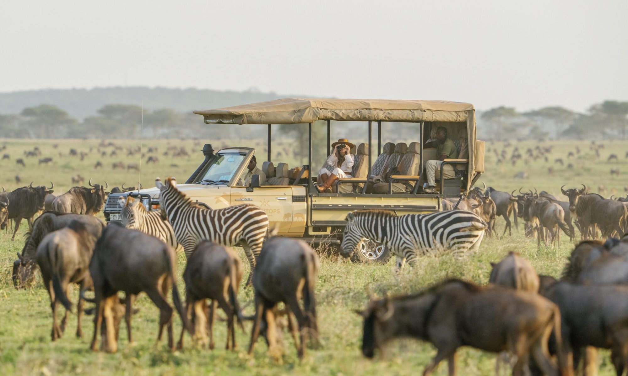 Game Drives in Maasai Mara National Reserve