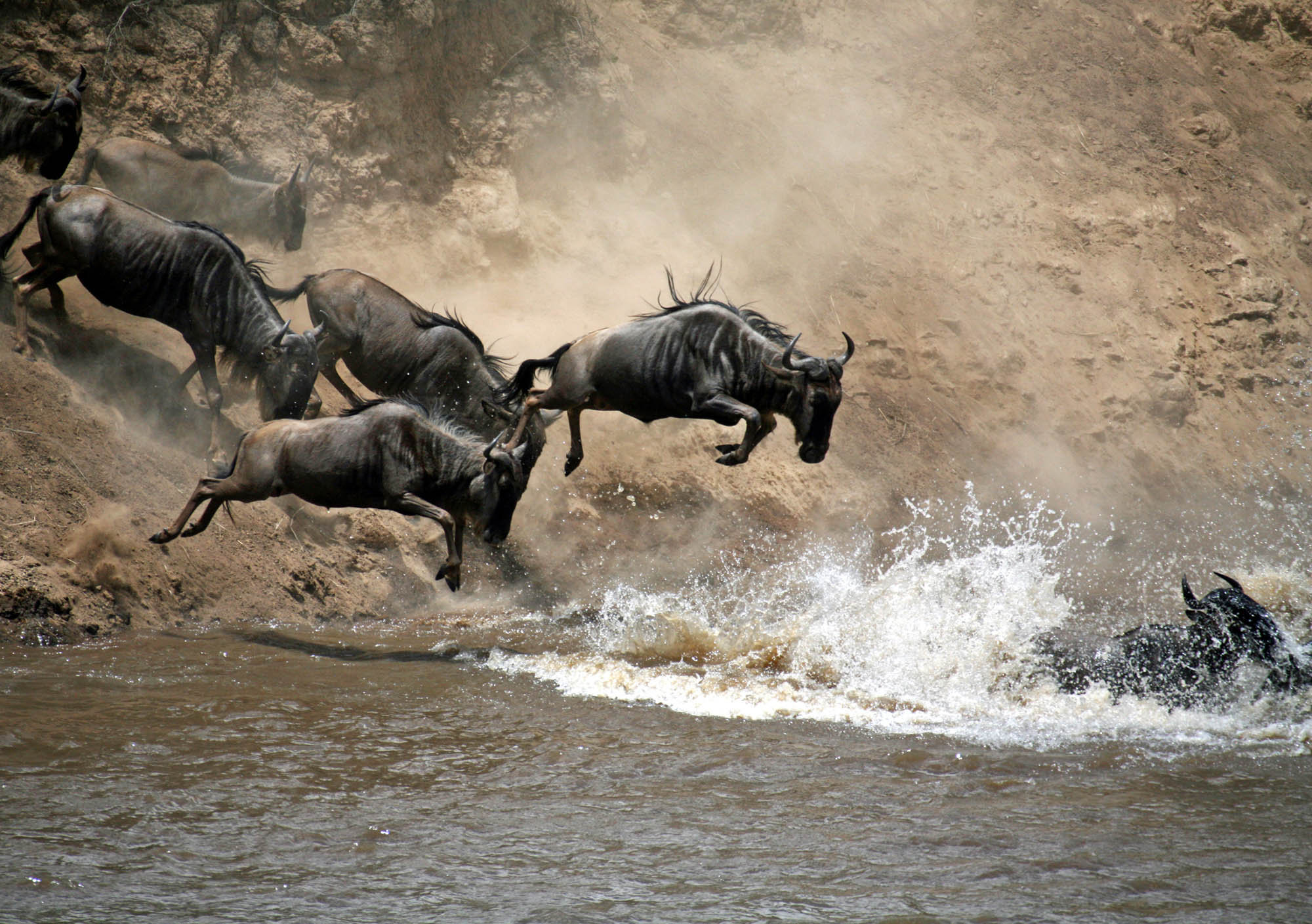 12 Days Serengeti Migration Photography Tour