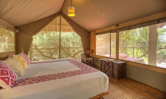 Best Eco-Friendly Lodges in East Africa