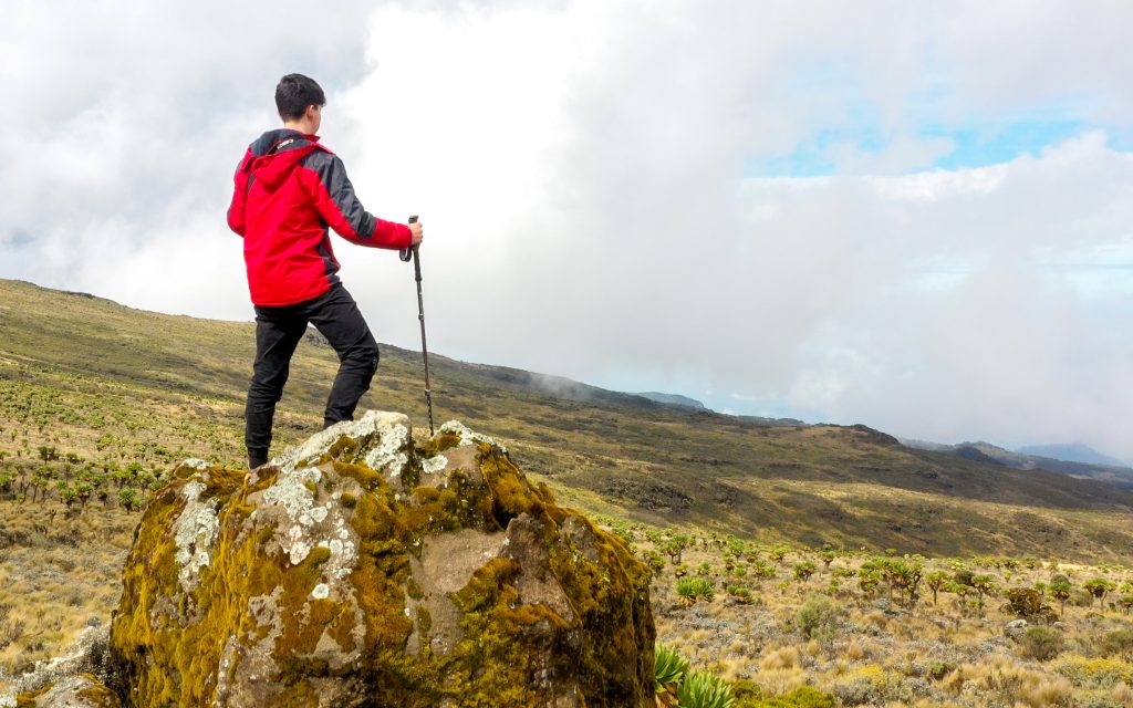 Best Hiking Destinations in Uganda