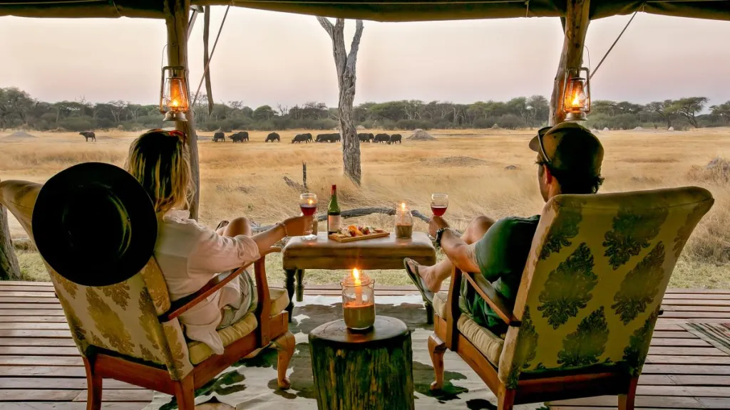 Best Places to Go on Safari in 2026