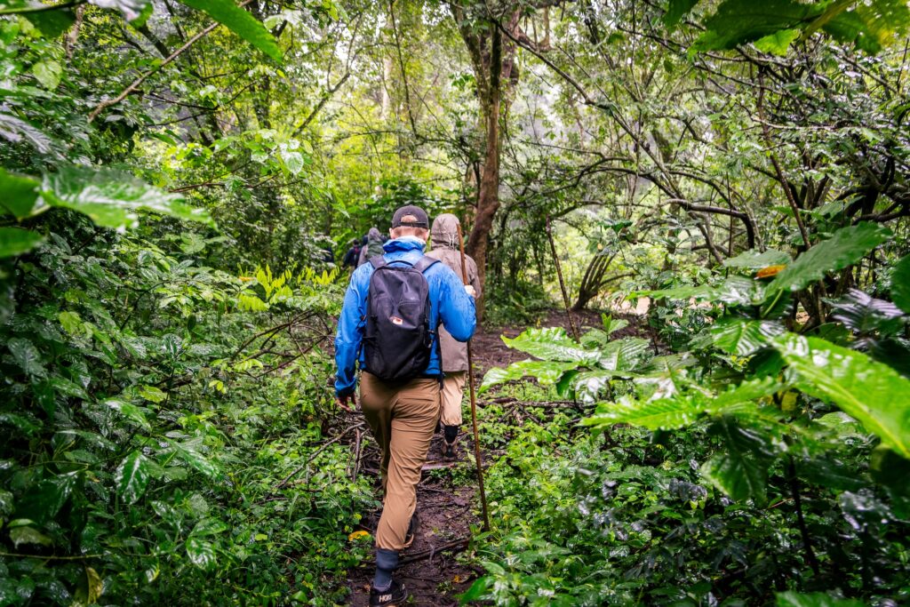 Best Long-Stay Safari Itineraries in Uganda