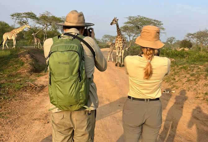 Why Lake Mburo National Park Is Best for Walking Safaris in Uganda?