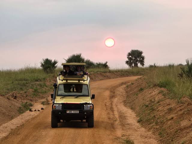 On-Road vs Off-Road Game Drives in East Africa